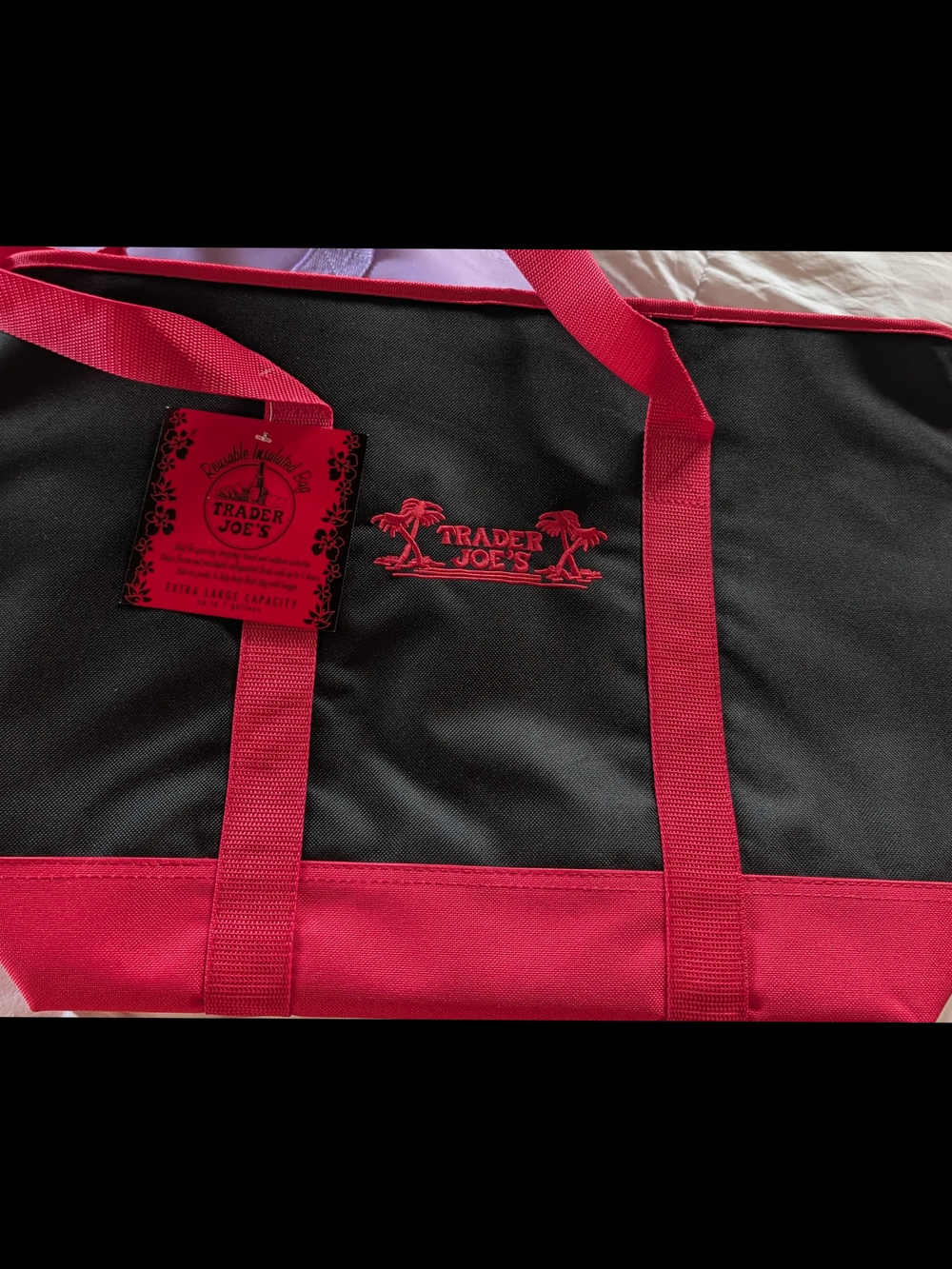 Trader Joe's Reusable Insulated bag